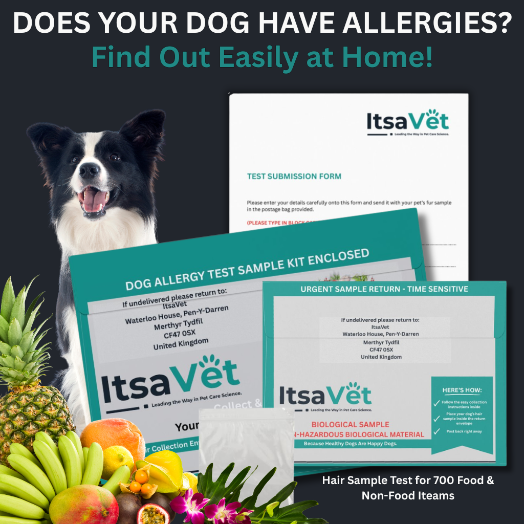 Stop Guessing. Start Knowing. Dog Allergy Test