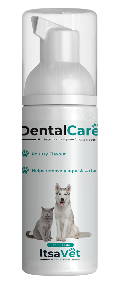ItsaVet Dental Care Paste Enzymatic Toothpaste Dogs & Cats
