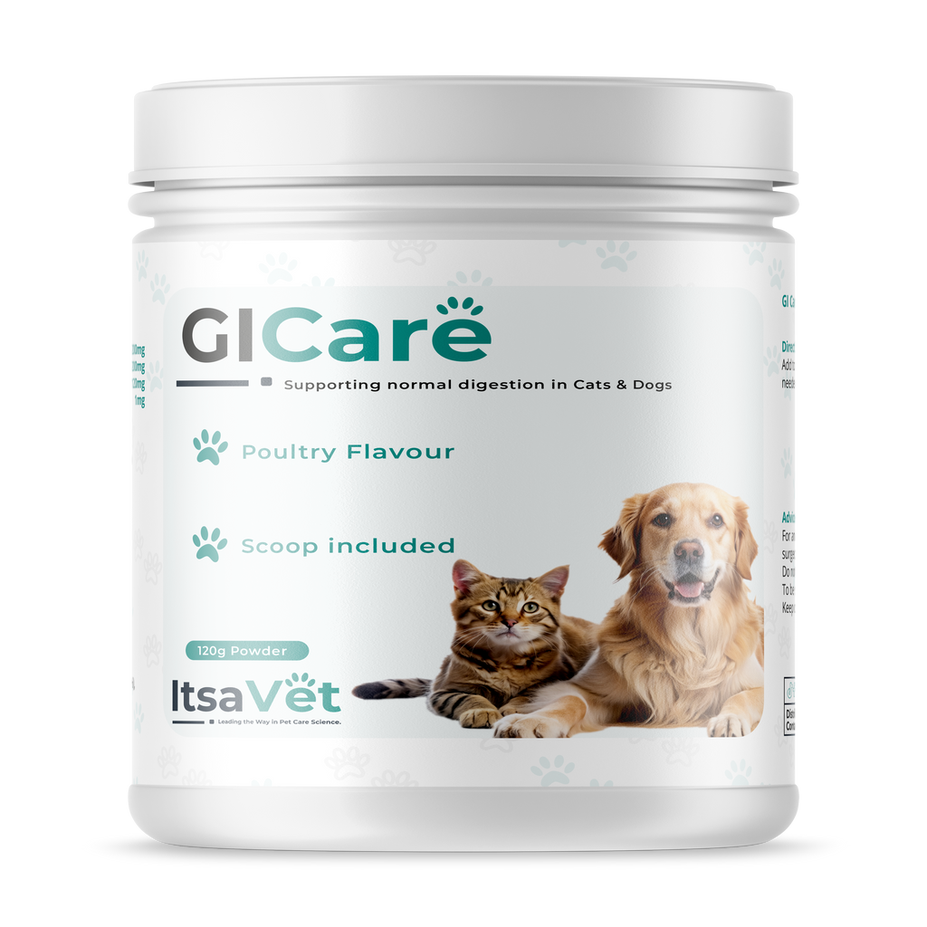ItsaVet GI Care – Advanced Digestive & Gut Support Powder