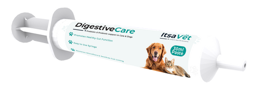 ItsaVet Digestive Care Paste for Dogs & Cats